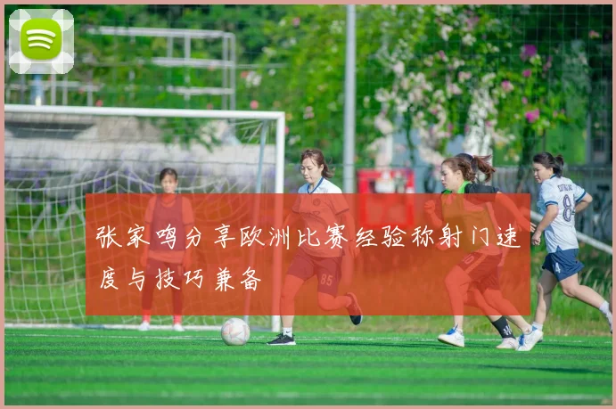 张家鸣分享欧洲比赛经验称射门速度与技巧兼备