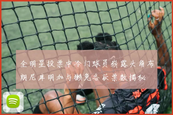 全明星投票中冷门球员崭露头角布朗尼库明加与獭兔各获票数揭秘